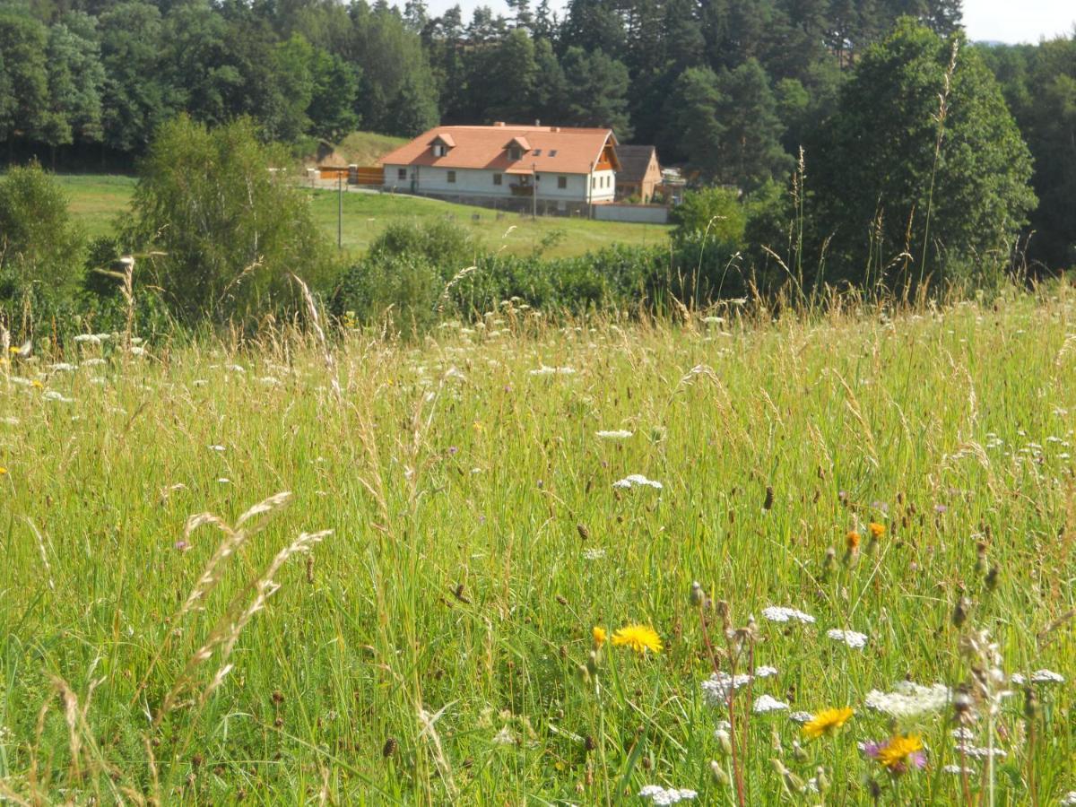 Jonasuv Mlyn Guest House Zhor u Mlade Vozice Exterior photo