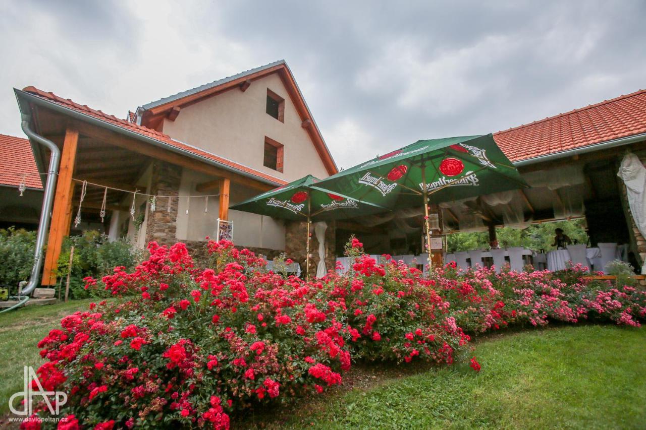 Jonasuv Mlyn Guest House Zhor u Mlade Vozice Exterior photo